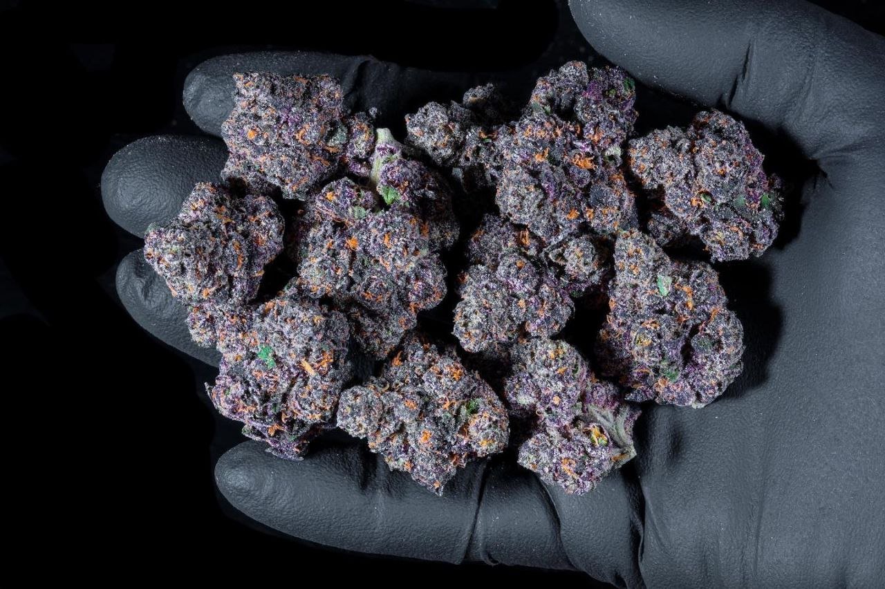 Boutiq Bulk Flowers - Image 2