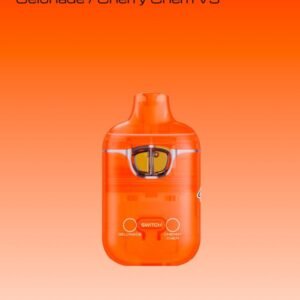 Boutiq Switch V3 Disposable near me